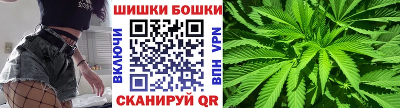 Конопля Bruce Banner  Купить где  Салаир 